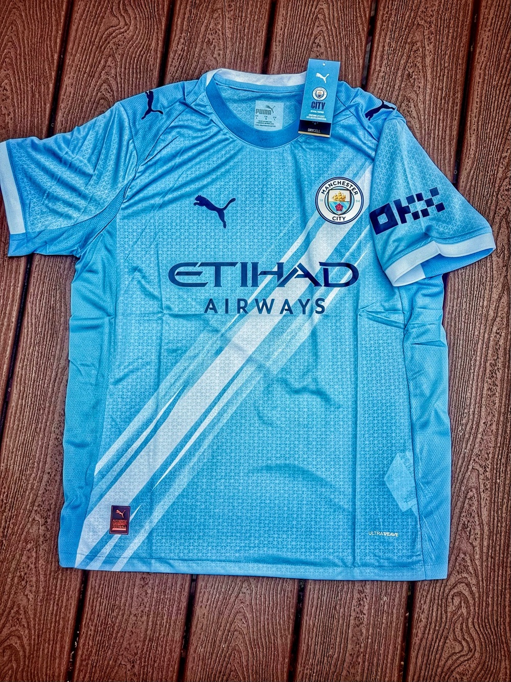 Puma Manchester City Jersey - Sky Blue